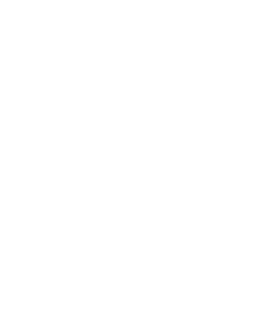 La Solitaire du Figaro